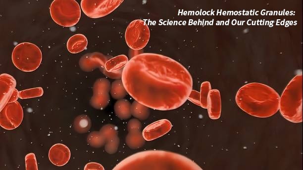Hemolock Hemostatic Granules: The Science Behind and Our Cutting Edges